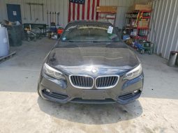 
BMW 230I, 2019 (2018) full									