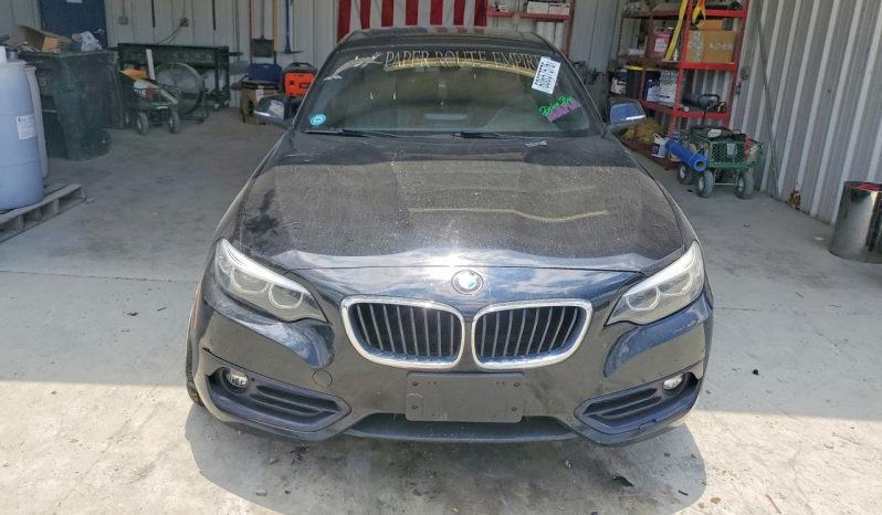 
BMW 230I, 2019 (2018) full									