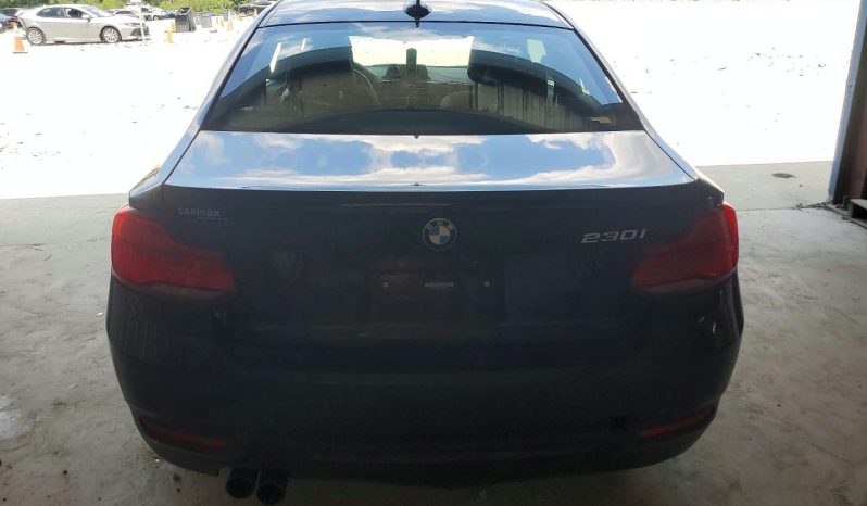 
BMW 230I, 2019 (2018) full									