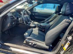
BMW 230I, 2019 (2018) full									