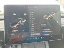
TESLA MODEL Y LR DM, 2023 full									