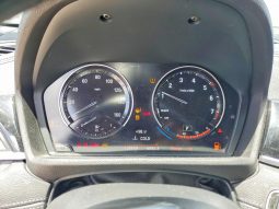 
BMW X2 XDRIVE28I, 2018 Ⓟ full									