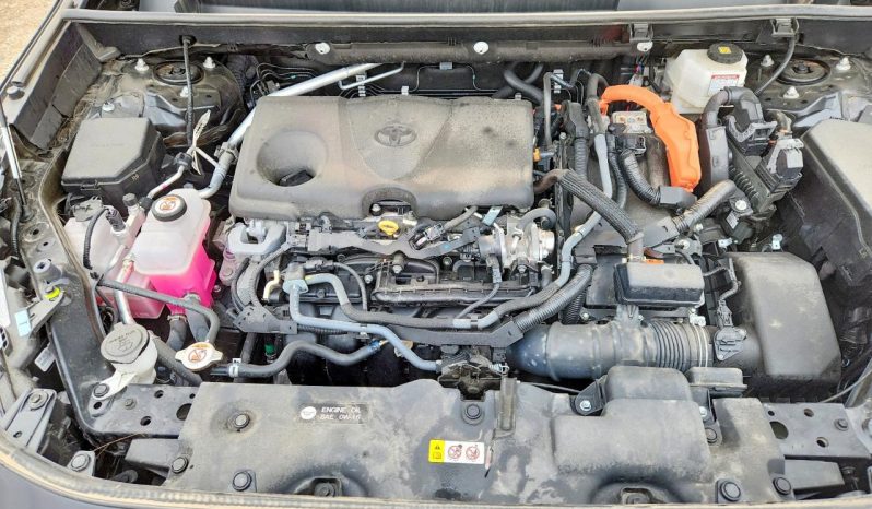 
TOYOTA RAV4 HYBRID XLE, 2024 full									