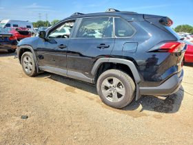 TOYOTA RAV4 HYBRID XLE, 2024