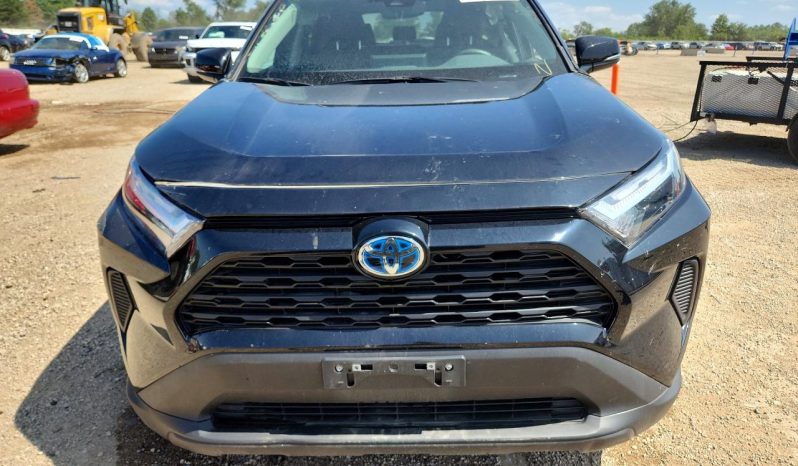 
TOYOTA RAV4 HYBRID XLE, 2024 full									