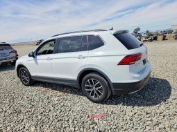
VOLKSWAGEN TIGUAN SE, 2020 (2019) full									
