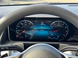 
MERCEDES-BENZ GLB 250 4MATIC, 2021 (2020) full									