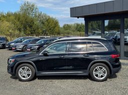 
MERCEDES-BENZ GLB 250 4MATIC, 2021 (2020) full									