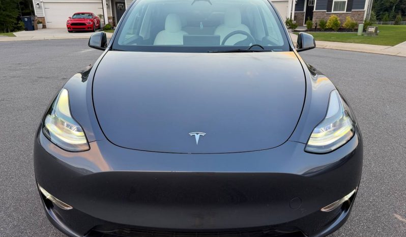 
TESLA MODEL Y LR DM, 2023 (2022) full									