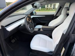 
TESLA MODEL Y LR DM, 2023 (2022) full									