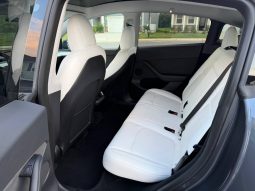 
TESLA MODEL Y LR DM, 2023 (2022) full									