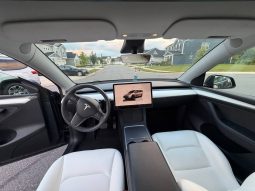 
TESLA MODEL Y LR DM, 2023 (2022) full									