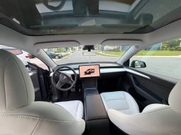 
TESLA MODEL Y LR DM, 2023 (2022) full									