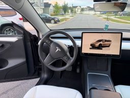 
TESLA MODEL Y LR DM, 2023 (2022) full									
