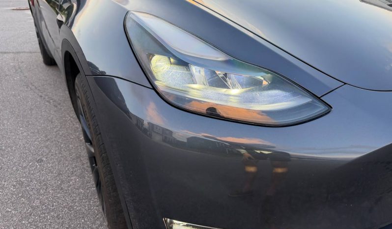 
TESLA MODEL Y LR DM, 2023 (2022) full									