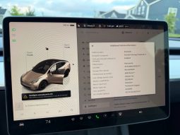 
TESLA MODEL Y LR DM, 2023 (2022) full									