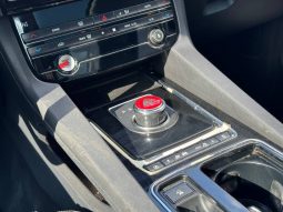 
JAGUAR F-PACE PREMIUM, 2019 (2018) full									