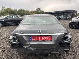 
MERCEDES-BENZ E 300 4MATIC, 2017 (2016) full									