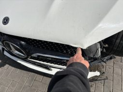 
MERCEDES-BENZ GLE 450 4MATIC, 2020 (2019) full									
