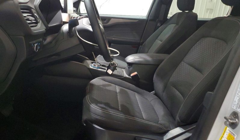 
FORD ESCAPE ACTIVE, 2025 full									