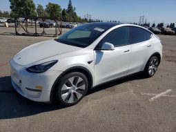 TESLA MODEL Y LR DM, 2021