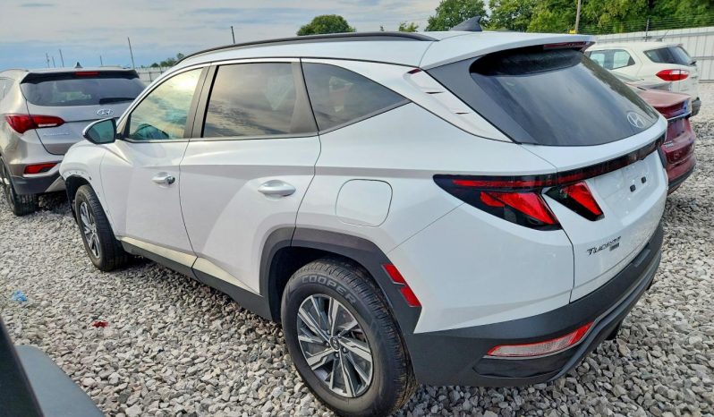 
HYUNDAI TUCSON HYBRID SEL CONVENIENCE, 2024 (2023) full									
