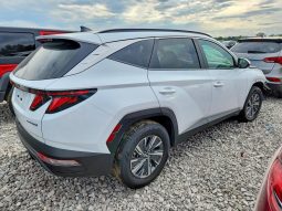 
HYUNDAI TUCSON HYBRID SEL CONVENIENCE, 2024 (2023) full									