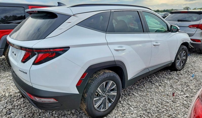 
HYUNDAI TUCSON HYBRID SEL CONVENIENCE, 2024 (2023) full									