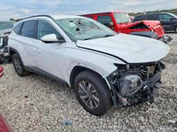 
HYUNDAI TUCSON HYBRID SEL CONVENIENCE, 2024 (2023) full									