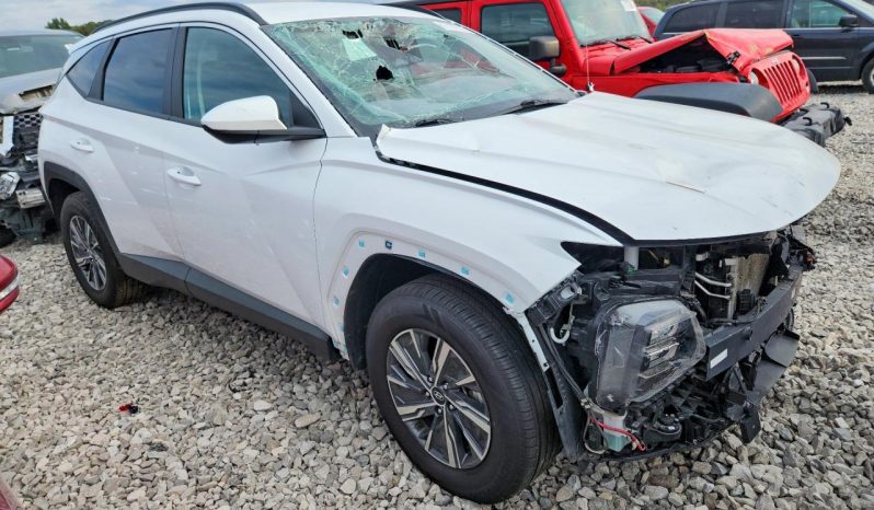 
HYUNDAI TUCSON HYBRID SEL CONVENIENCE, 2024 (2023) full									