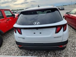 
HYUNDAI TUCSON HYBRID SEL CONVENIENCE, 2024 (2023) full									