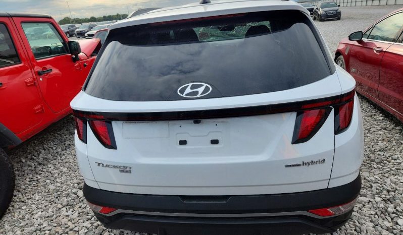 
HYUNDAI TUCSON HYBRID SEL CONVENIENCE, 2024 (2023) full									