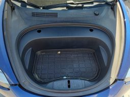 
TESLA MODEL 3 LR DM, 2021 (2020) Ⓟ full									