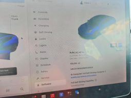 
TESLA MODEL 3 LR DM, 2021 (2020) Ⓟ full									