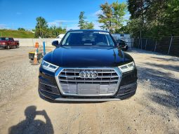 
AUDI Q5 PREMIUM PLUS, 2018 (2017) full									