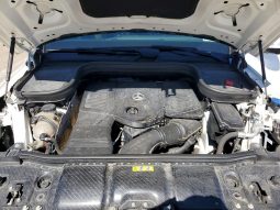 
MERCEDES-BENZ GLE 350 4MATIC, 2024 (2023) full									