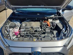 
TOYOTA RAV4 LE, 2024 Ⓟ full									