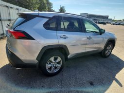 TOYOTA RAV4 LE, 2024 Ⓟ