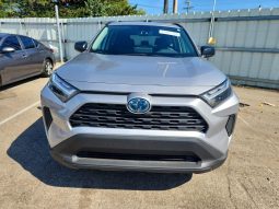 
TOYOTA RAV4 LE, 2024 Ⓟ full									