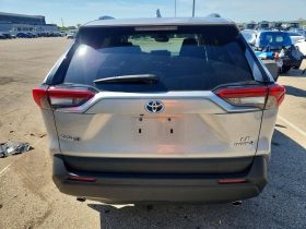 TOYOTA RAV4 LE, 2024 Ⓟ