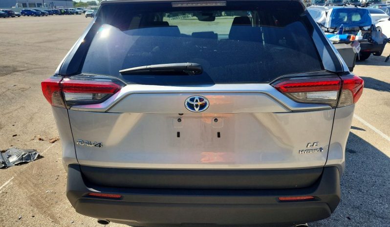 
TOYOTA RAV4 LE, 2024 Ⓟ full									