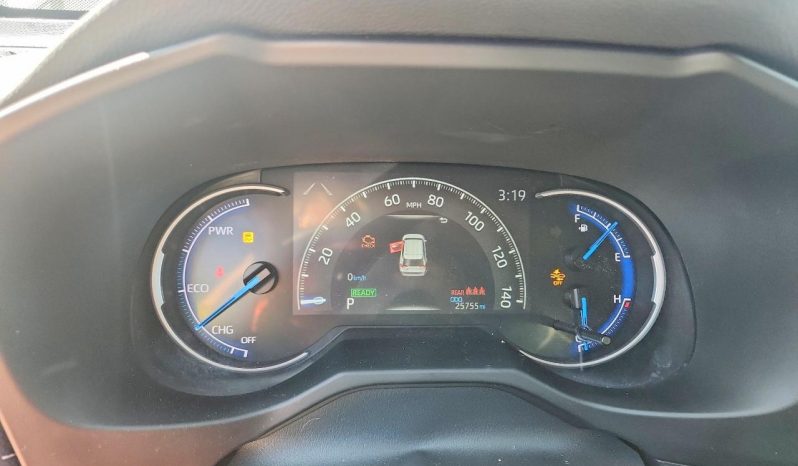 
TOYOTA RAV4 LE, 2024 Ⓟ full									