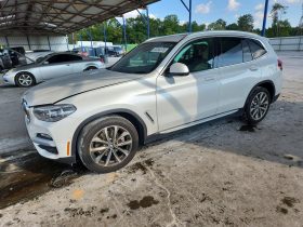 BMW X3 SDRIVE30I, 2019 (2018)