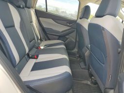 
SUBARU CROSSTREK LIMITED, 2019 full									
