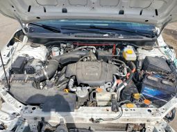 
SUBARU CROSSTREK LIMITED, 2019 full									