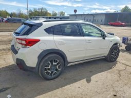 
SUBARU CROSSTREK LIMITED, 2019 full									