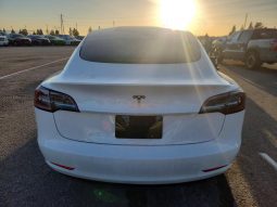 TESLA MODEL 3 SR+ RWD, 2021