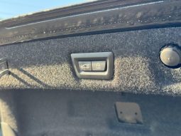 
BMW 530 XI, 2021 (2020) full									