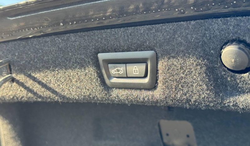 
BMW 530 XI, 2021 (2020) full									
