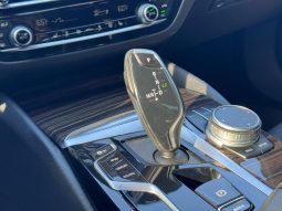 
BMW 530 XI, 2021 (2020) full									